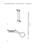 METHODS AND MATERIALS USING SIGNALING PROBES diagram and image