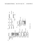 IL-34 RECEPTOR ASSAYS AND USES THEREOF diagram and image