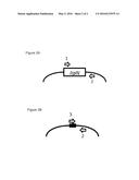 BIOMARKERS FOR EARLY DIAGNOSIS AND DIFFERENTIATION OF MYCOBACTERIAL     INFECTION diagram and image