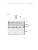 SCINTILLATOR PANEL AND RADIATION DETECTOR diagram and image