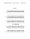 POLARIZATION-DEPENDENT LENS STRUCTURE AND METHOD OF MANUFACTURING THE SAME diagram and image