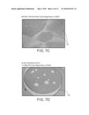 SYSTEM AND METHOD FOR CONVENTIONAL PARTICLE ROUNDING UTILIZING CONTINUOUS     EMULSION-AGGREGATION (EA) TECHNOLOGY diagram and image