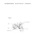 Obtaining an Improved Therapeutic Ligand diagram and image