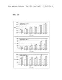 METHOD OF AND APPARATUS FOR MEASURING BIOMETRIC INFORMATION diagram and image