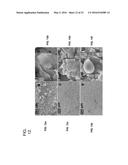 ELECTROLYTE FOR BATTERIES WITH REGENERATIVE SOLID ELECTROLYTE INTERFACE diagram and image