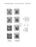 APPLICATION OF ORBITAL ANGULAR MOMENTUM TO FIBER, FSO AND RF diagram and image