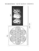 APPLICATION OF ORBITAL ANGULAR MOMENTUM TO FIBER, FSO AND RF diagram and image