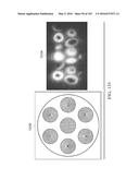 APPLICATION OF ORBITAL ANGULAR MOMENTUM TO FIBER, FSO AND RF diagram and image