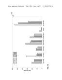 COMPRESSION OF GRAPHICAL COMMANDS FOR REMOTE DISPLAY diagram and image