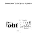 SCREEN AND USE OF THERAPEUTICS FOR PANCREATIC DUCTAL ADENOCARCINOMA diagram and image