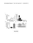 SCREEN AND USE OF THERAPEUTICS FOR PANCREATIC DUCTAL ADENOCARCINOMA diagram and image