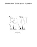 SCREEN AND USE OF THERAPEUTICS FOR PANCREATIC DUCTAL ADENOCARCINOMA diagram and image