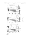 SCREEN AND USE OF THERAPEUTICS FOR PANCREATIC DUCTAL ADENOCARCINOMA diagram and image