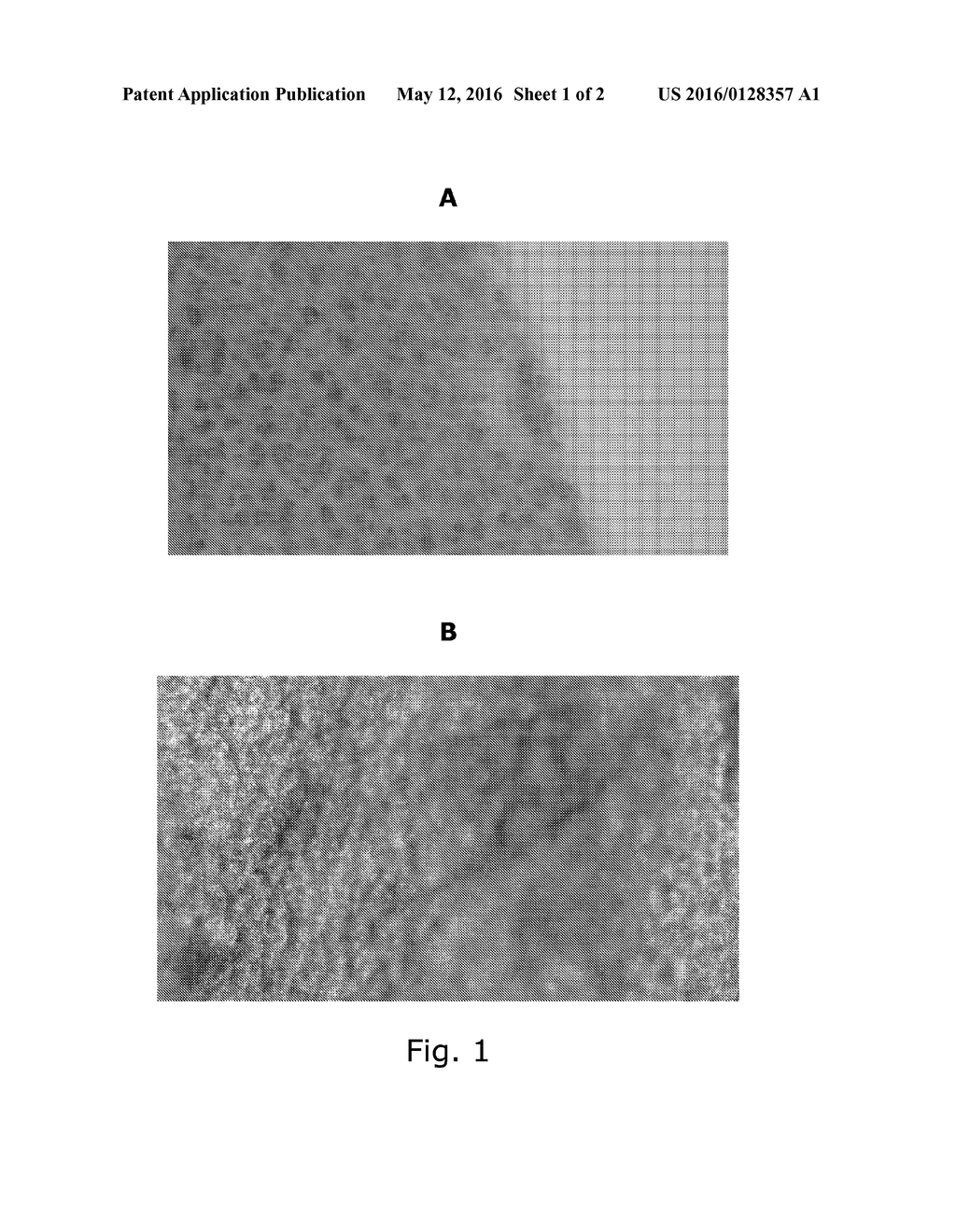 COMPOSITIONS COMPRISING FERMENTED SEAWEED AND/OR ALGAE - diagram, schematic, and image 02