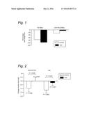 MUSCLE PRESERVATION IN OVERWEIGHT OR OBESE ADULT DURING WEIGHT LOSS     PROGRAM diagram and image