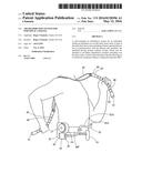 Air distribution system for individual cooling diagram and image