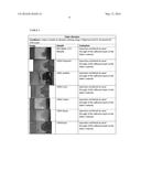 Shoe Toe Cap diagram and image