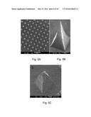 FABRICATION, METHODS, APPARATUSES, AND SYSTEMS FOR ULTRA-COMPLIANT PROBES     FOR NEURAL AND OTHER TISSUES diagram and image