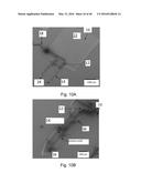 FABRICATION, METHODS, APPARATUSES, AND SYSTEMS FOR ULTRA-COMPLIANT PROBES     FOR NEURAL AND OTHER TISSUES diagram and image