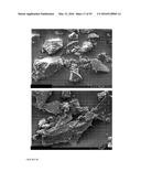 SOLID FORMS OF SELECTIVE ANDROGEN RECEPTOR MODULATORS diagram and image