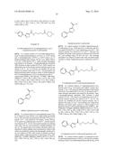 ISOXAZOLE COMPOUNDS AND METHODS FOR THE TREATMENT OF CYSTIC FIBROSIS diagram and image