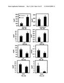 Methods and Compositions for the Treatment of Body Weight Related     Disorders diagram and image