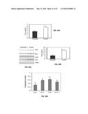 Methods and Compositions for the Treatment of Body Weight Related     Disorders diagram and image