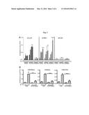 COMPOSITIONS AND METHODS FOR TREATING ALLERGIC INFLAMMATION THROUGH     INHIBITION OF NTRK1 diagram and image