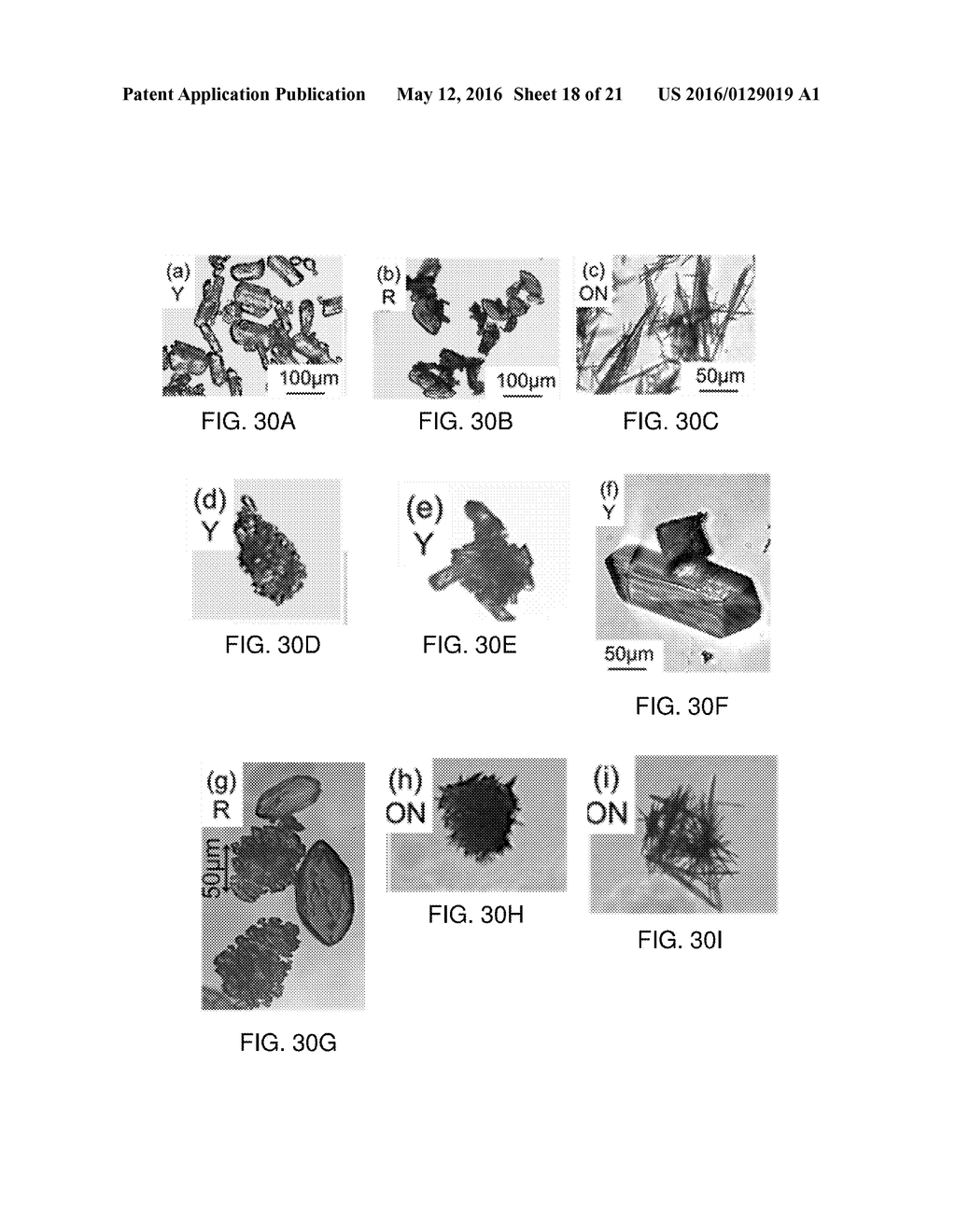 COMPOSITIONS, METHODS, AND SYSTEMS RELATING TO CONTROLLED CRYSTALLIZATION     AND/OR NUCLEATION OF MOLECULAR SPECIES - diagram, schematic, and image 19