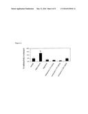 ADENOSINE ANALOGS AND THEIR USE diagram and image