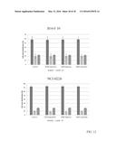 Glutathione Disulfide Compositions and Related Methods for the Treatment     of Cancer diagram and image