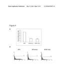 Method for Inhibiting HIV Replication in Mammal and Human Cells diagram and image