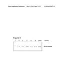 Method for Inhibiting HIV Replication in Mammal and Human Cells diagram and image