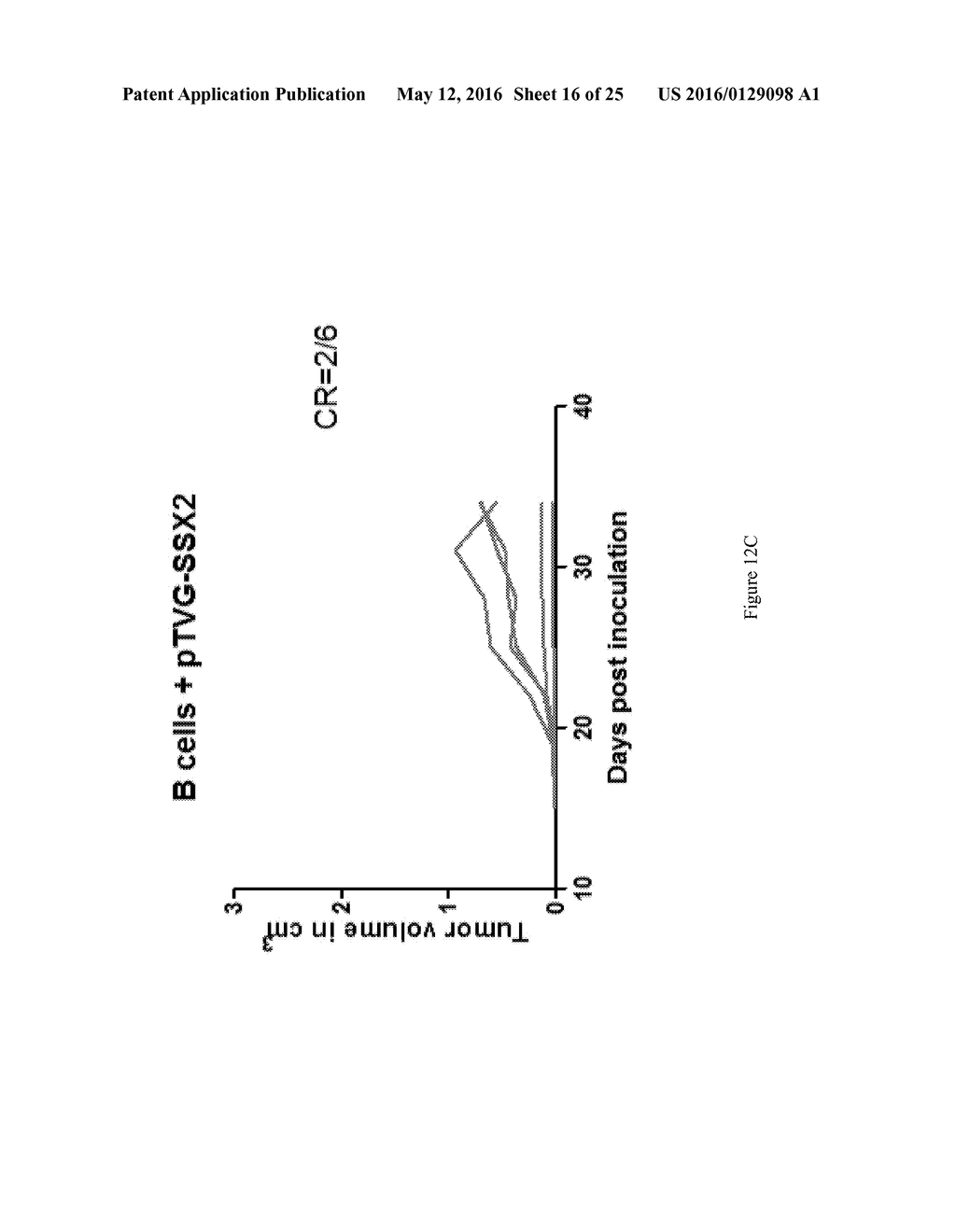 TARGETING DNA VACCINES TO B CELLS AS PRIMARY ANTIGEN PRESENTING CELLS - diagram, schematic, and image 17