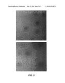 Method for preparing virosomes diagram and image