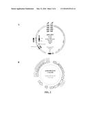 IMMUNOPROTECTIVE PRIMARY MESENCHYMAL STEM CELLS AND METHODS diagram and image