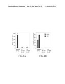 ONCOLYTIC VACCINIA VIRUS CANCER THERAPY diagram and image