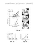 ONCOLYTIC VACCINIA VIRUS CANCER THERAPY diagram and image