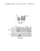 ONCOLYTIC VACCINIA VIRUS CANCER THERAPY diagram and image