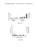 ONCOLYTIC VACCINIA VIRUS CANCER THERAPY diagram and image