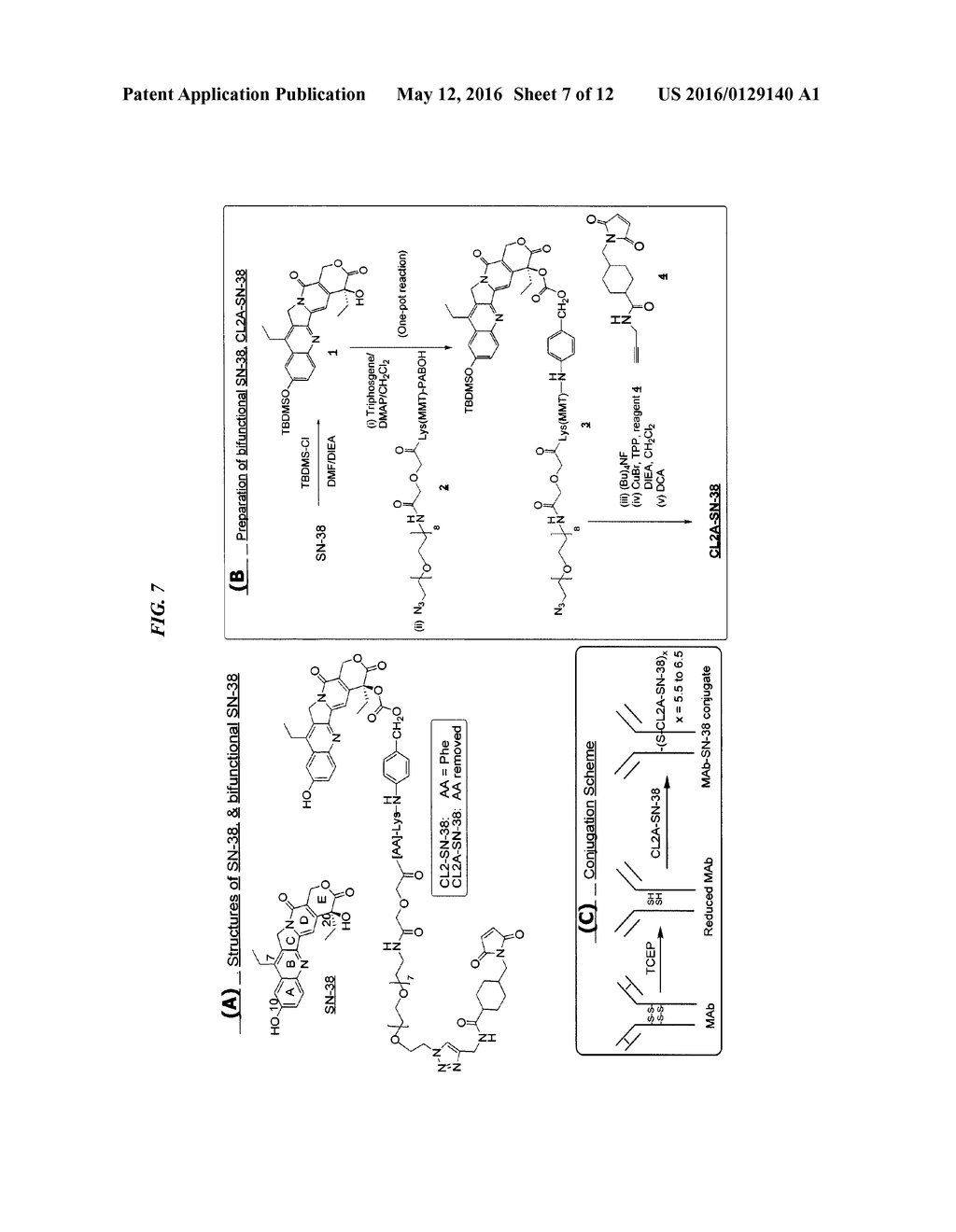 Combining Radioimmunotherapy and Antibody-Drug Conjugates for Improved     Cancer Therapy - diagram, schematic, and image 08