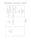 IMIDATED BIOPOLYMER ADHESIVE AND HYDROGEL diagram and image