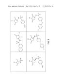 IMIDATED BIOPOLYMER ADHESIVE AND HYDROGEL diagram and image