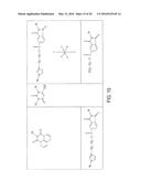 IMIDATED BIOPOLYMER ADHESIVE AND HYDROGEL diagram and image