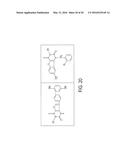 IMIDATED BIOPOLYMER ADHESIVE AND HYDROGEL diagram and image