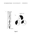 AMNIOTIC MEMBRANE diagram and image