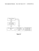 AMNIOTIC MEMBRANE diagram and image