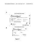 AMNIOTIC MEMBRANE diagram and image