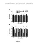 AMNIOTIC MEMBRANE diagram and image