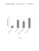 Protected Magnesium Alloys for Bioresorbable Stents diagram and image